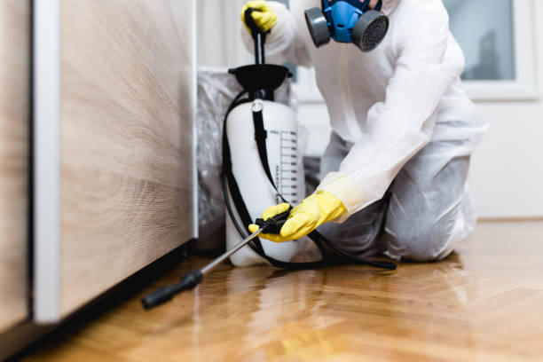 Best Pest Prevention Services  in Newnan, GA