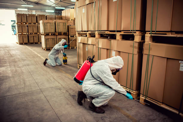 Best Affordable Pest Control Services  in Newnan, GA