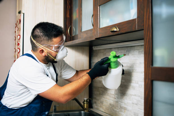 Best Wasp Removal Services  in Newnan, GA