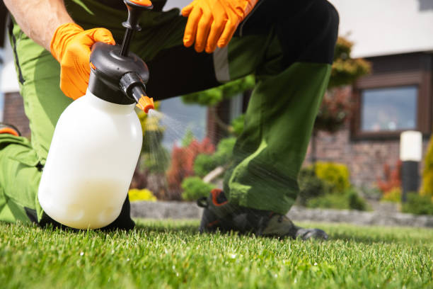 Wasp Removal Services in Newnan, GA