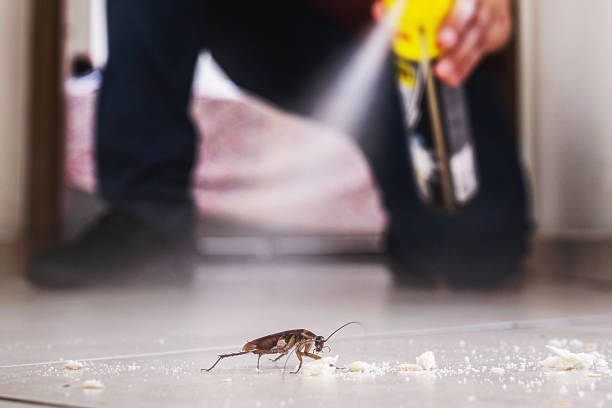 Best Commercial Pest Control Services  in Newnan, GA