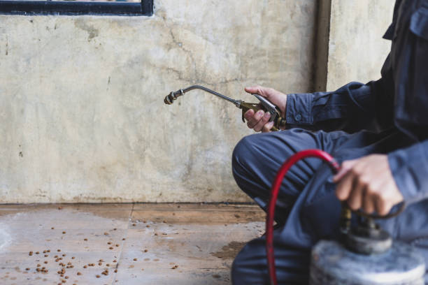Best Flea Control Services  in Newnan, GA