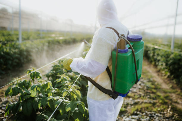 Best Best Pest Control Companies  in Newnan, GA